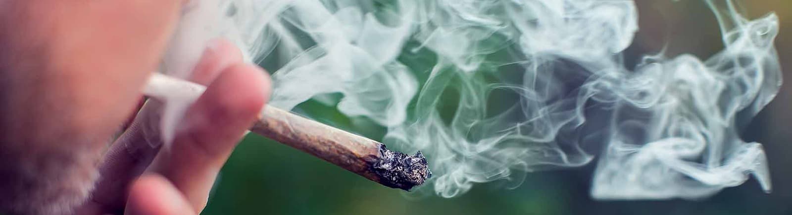 does walmart sell cigarette tubes Top Regular Cigarette Tubes – BnB Tobacco