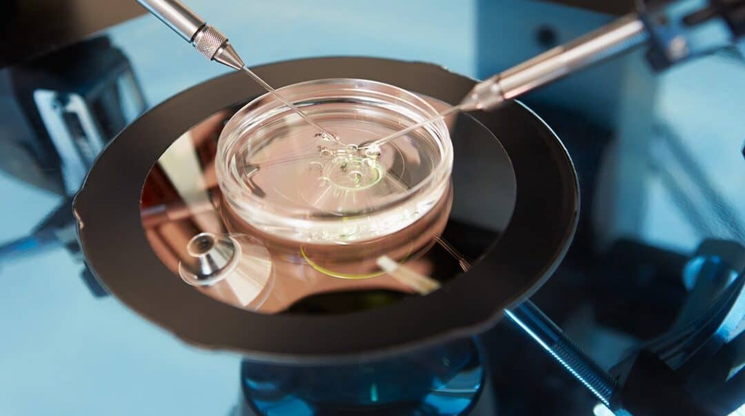 Reproductive Rights in Divorce: Frozen Embryos